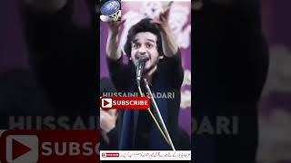 Zakir Ali Abbas Askari 2023 #zakiraliabbasaskari #majlis #ytshortsvideo #ytshort