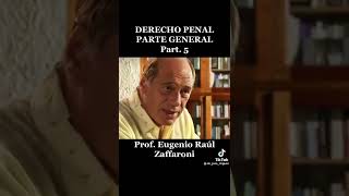 LA FUNCIÓN DEL DERECHO PENAL - RAÚL ZAFFARONI