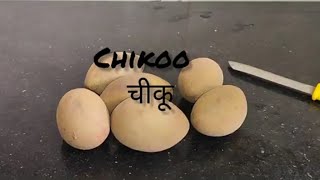 Chikoo milkshake recipe |  sapodilla drink | how to make milkshake #chikooshake #milkshake #viral ♥️