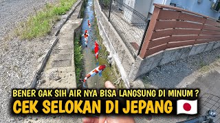 SELOKAN DI JEPANG ‼️benar gak sih banyak ikan koi nya???