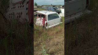 Junkyard Pintos are everywhere! like subscribe and share plz #junkyard #ford #projectcar