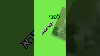 תזונה לחיטוב ובניית שרירים, תוכנית תזונה לחיטוב הבטן, תזונה לחיטוב גברים, משמנים לקוביות בבטן