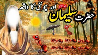 hazrat sulaiman as aur chonti ka waqia | chonti ka waqia | malka chonti | info at naveed