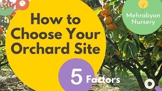 How to Choose Your Orchard Site (5 Factors)