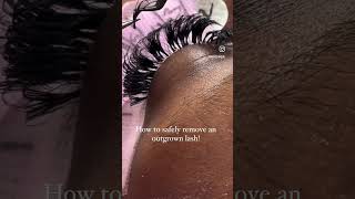 Lash Extension Sharing EPS 180 How to safely remove an outgrown lash