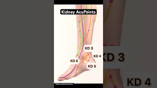 Kidney Acupuncture Points #acupuncture