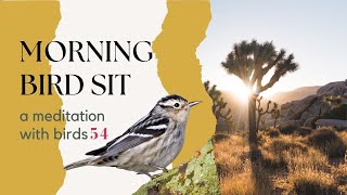 Bird Sit - Morning Meditative Birding Practice - # FIFTY FOUR (#birdsit)