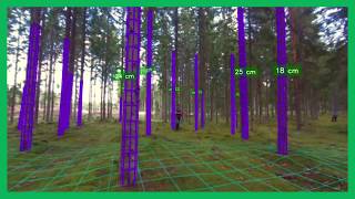 Forest measurement by autonomous drone