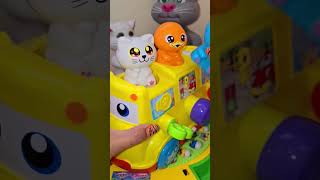 3 cute animals riding the yellow bus #amazing #highlights