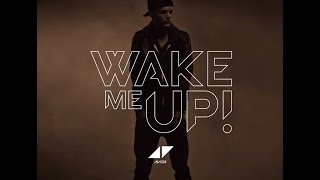 Avicii - Wake Me Up (DeeJay Jolo Cover Remix)