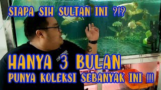 TERINSPIRASI DARI JAMM VLOG, HOBBIES YANG SATU INI DALAM WAKTU 3 BULAN SEGINI BANYAK IKANNYA !!!