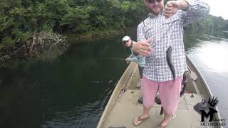 Brown trout on jerk bait at Lake Taneycomo