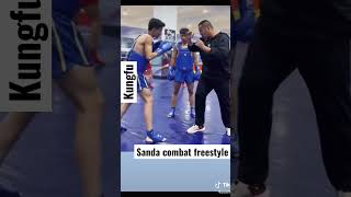 Sanda Combat freestyle- arte marcial chinesa