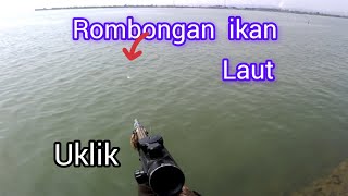 paser mania | pesta strike ikan laut dengan uklik paser ikan