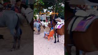 🐎 Riding Show at 🏖 #travelvlog #thailand #horse #beach #wanderlust #beachlife #animals #picoftheday