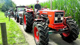 Switzerland's Most Famous Tractor Brand - Old Hürlimann Tractors Arriving