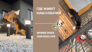 Где живет наш собака 🐶. Обзор будки своими руками, как мы обустроили место для собаки на участке