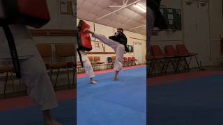 Do you use this version of the roundhouse kick? #martialarts #karate #shotokan #kicks #shorts