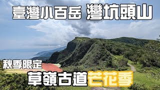 搭火車去草嶺古道芒花季一2023年𝟭𝟭月𝟰-𝟮𝟲日，進階玩法，挑戰臺灣小百岳灣坑頭山，淡蘭古道北路經典路線。