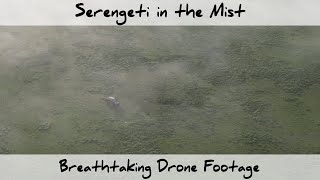 Serengeti in the Mist - Breathtaking Drone Footage (4K)