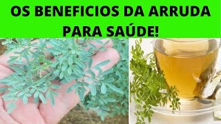 Chá de arruda – Para que serve?