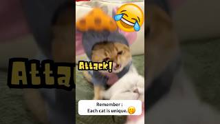 Funny Cute Kitten Gets Jealous😾💢🦁