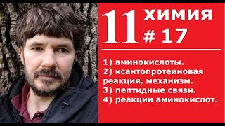 11#17. 11. класс: 1) аминокислоты. 2) ксантопротеиновая реакция, механизм. 3) реакции аминокислот