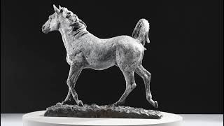 Arabian Horse 2022