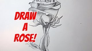 How To Draw A Rose