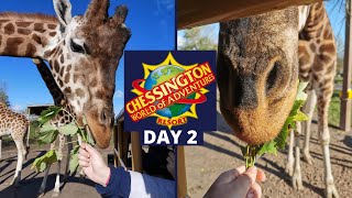 Feeding Giraffes at Chessington World Of Adventures Vlog Day 2 | KrispySmore 2020