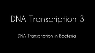 نسخ ال DNA /جزء ٣/ النسخ في البكتيريا / DNA Transcription بالعربي