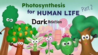 Important Role of Photosynthesis for Human Life and Biosphere Part-2 !! Dark Reaction