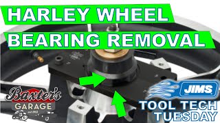 How To Remove Harley Wheel Bearings | Tool Tech Tuesday | JIMS | Kevin Baxter | Pro Twin Performance