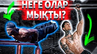 Спорттың негіздері|Тарту және итеру күшін қалай шығарады |.Не себептен база керек? мдр Видеосабақ