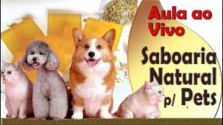 Saboaria Natural para Pets - Como iniciar nessa atividade