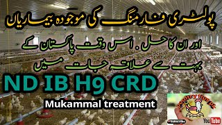 ND IB CRD H9  Mukammal treatment  Urdu