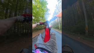 Wheelies in the woods #hondacrf250f #hondagrom #crf250l