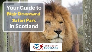 Blair Drummond Safari and Adventure Park