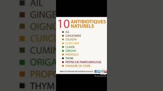 10 ANTIBIOTIQUES NATUREL