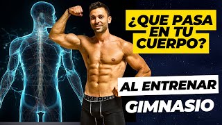 Que le pasa a TU CUERPO cuando COMIENZAS A ENTRENAR en el GIMNASIO.