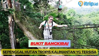 Bukit Bangkirai, Hutan Tropis yang Memukau di Kutai Kartanegara