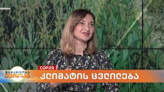 19 December 2023. Euronews Georgia - COP28: Climate Change