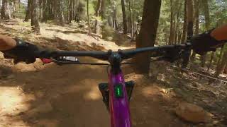 Talon Show Nevada City MTB