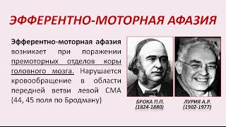 Эфферентно-моторная афазия. Теоретическая часть.