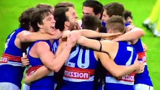 Documentary about the Western Bulldogs, its fan and the suburb of Footscray