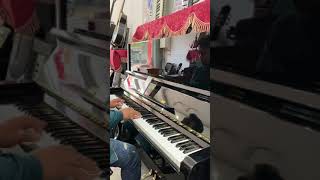 Piano Cánh Hồng Phai trên đàn Apollo Piano cơ