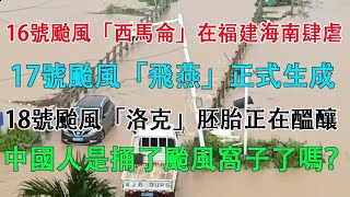 16號颱風“西馬侖”正在海南和福建肆虐，17號颱風“飛燕”正式生成，18號台風“洛克”胚胎正在醞釀。中國人是捅了颱風窩子嗎？