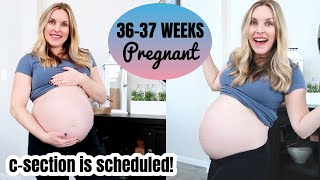 36-37 WEEK PREGNANCY UPDATE | We have a C-section date!