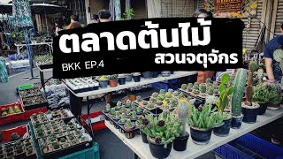 One free day : BKK EP.4 ตลาดต้นไม้จตุจักร