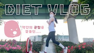 DIET VLOG ❥ 공복유산소&다이어트레시피 개발하는 브이로그. 근데 이제 약간의 치팅을 곁들인...⎮오트밀누텔라, 라이스페이퍼 닭가슴살 치킨⎮키에리&한남회관